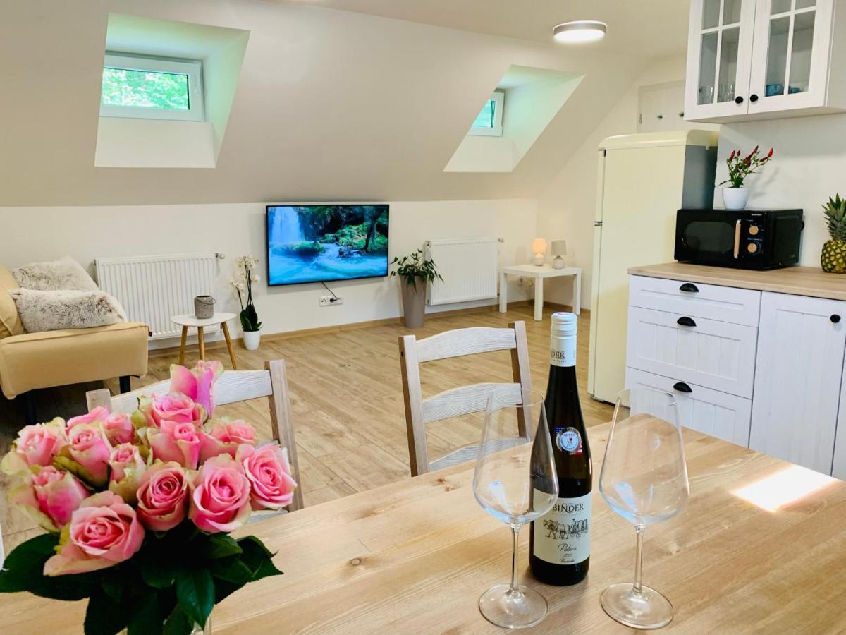 Apartmany Jetrichovice - Ceske Svycarsko Kültér fotó