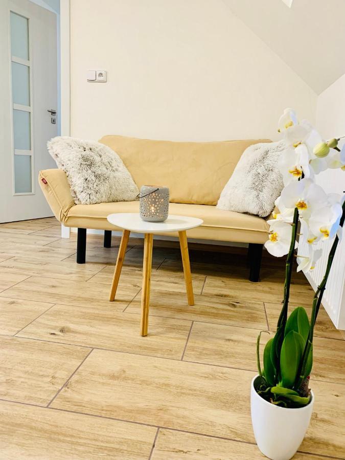 Apartmany Jetrichovice - Ceske Svycarsko Kültér fotó