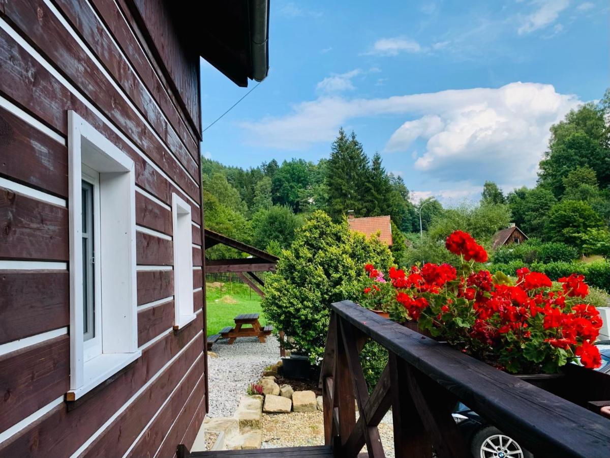 Apartmany Jetrichovice - Ceske Svycarsko Kültér fotó