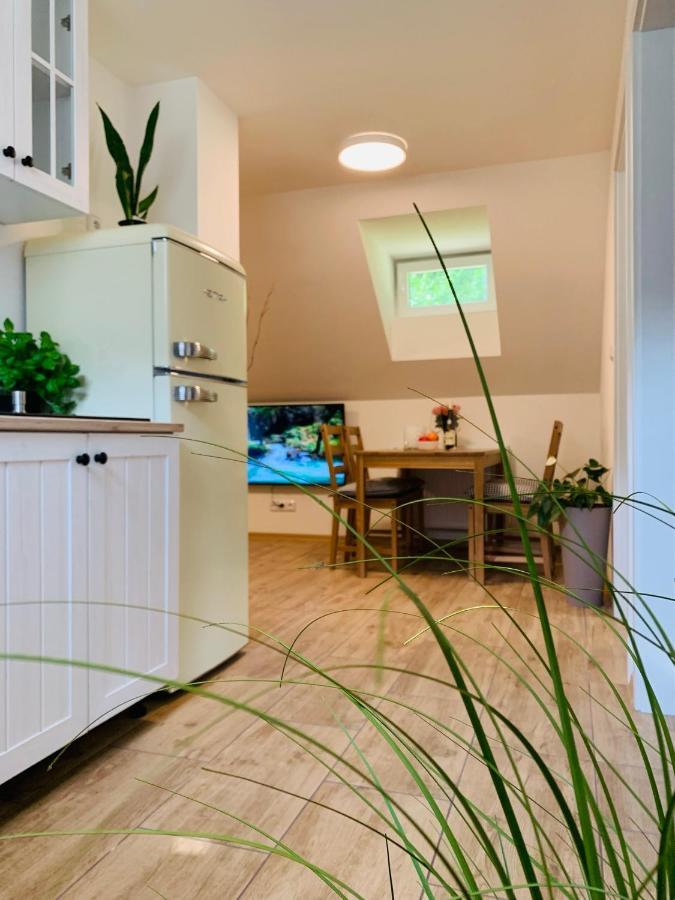 Apartmany Jetrichovice - Ceske Svycarsko Kültér fotó