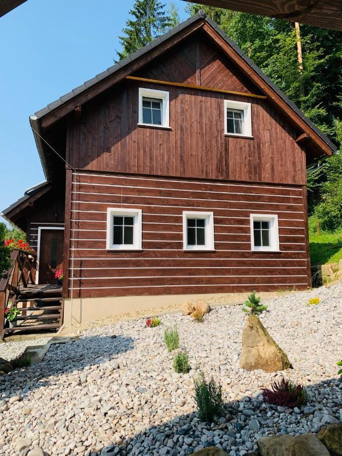 Apartmany Jetrichovice - Ceske Svycarsko Kültér fotó