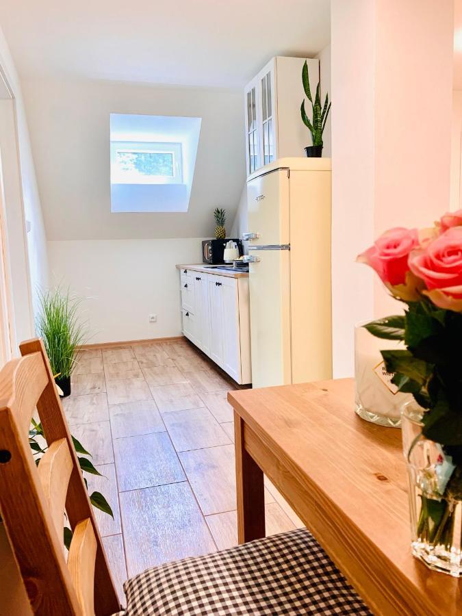 Apartmany Jetrichovice - Ceske Svycarsko Kültér fotó